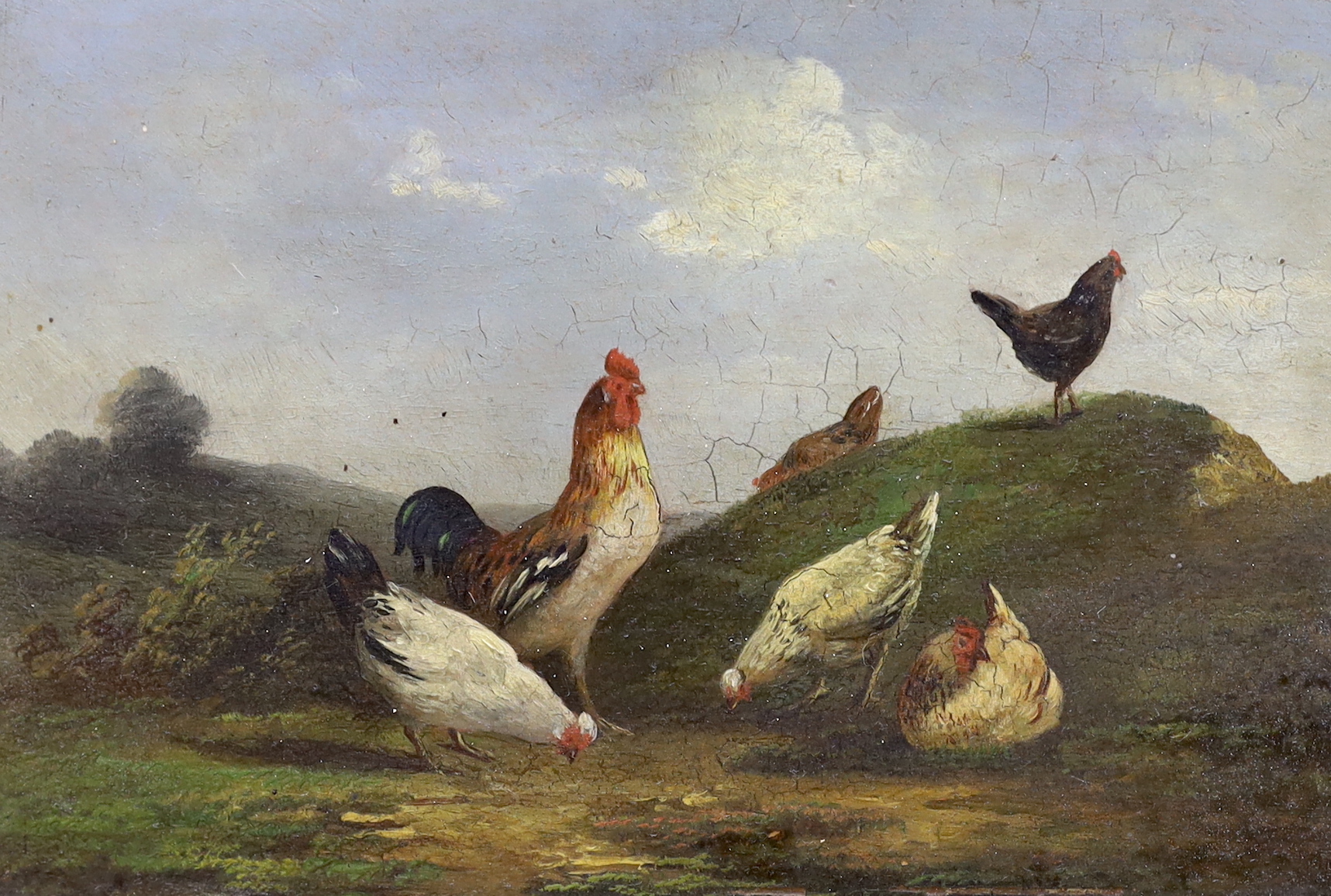 19th century English School, pair of oils on board, Fowl and ducks, label verso, 16 x 23cm